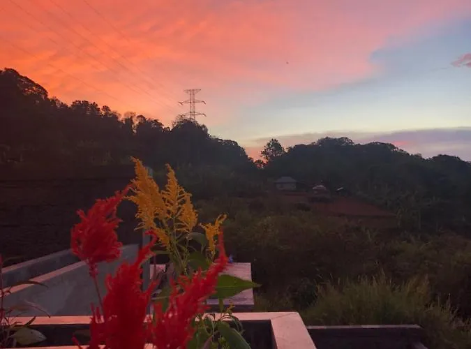 Buyan View Bedugul (Bali)